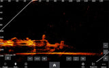 Garmin Panoptix LiveScope XR LVS62 anturi - Happy Angler