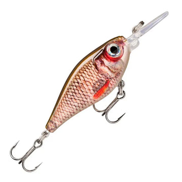Live Roach