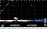 Garmin Panoptix LiveScope XR LVS62 anturi - Happy Angler