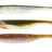 Westin Shadteez Slim 10 cm jigi 3 kpl/pkt - Happy Angler