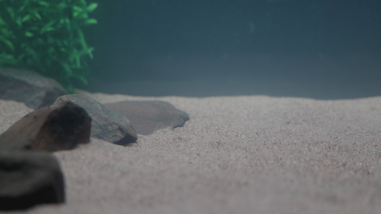 Kuore Torpedo 7 cm jigg 4 st/pkt