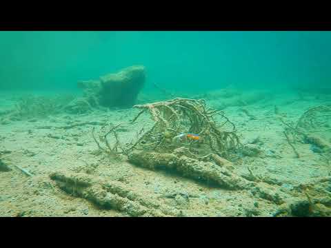 Westin BullTeez Curltail 14 cm jigi 2 kpl/pkt