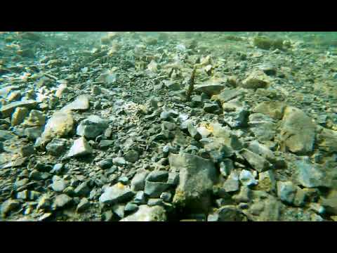 Westin NED Worm Dark Water Mix 9 cm jigg 6 st/pkt