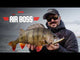 Rapala Precision Xtreme Air Boss 10 cm vaappu
