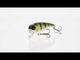 Westin Fatbite Crankbait 8 cm wobbler