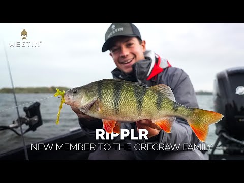 Westin CreCraw Ripplr 9,5 cm jigg 4 st/pkt