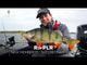 Westin CreCraw Ripplr 9,5 cm jigg 4 st/pkt