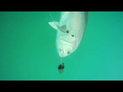 Westin Escape Cam vedenalainen kamera