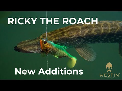 Westin Ricky The Roach Shadtail R2F 14 cm jigi Limited Edition