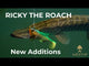 Westin Ricky The Roach Shadtail R2F 14 cm jigi Limited Edition
