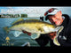 Westin BullTeez Curltail R2F 16 cm jigg